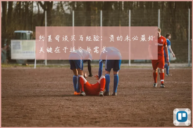 约基奇谈买马经验：贵的未必最好关键在于适合与需求