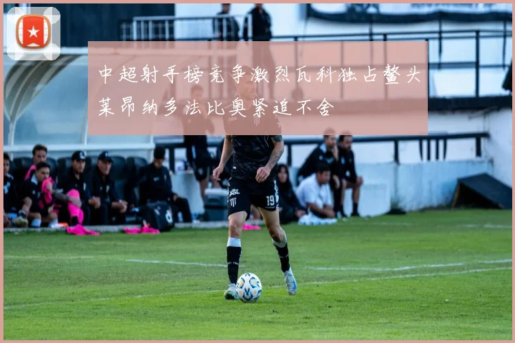 中超射手榜竞争激烈瓦科独占鳌头莱昂纳多法比奥紧追不舍