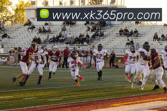 星空体育平台生态图