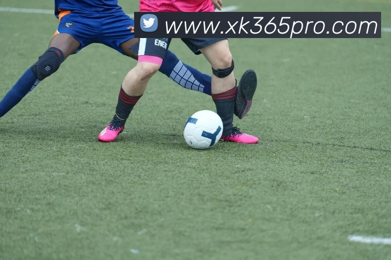 数据防护可视化